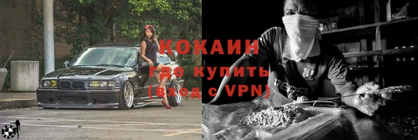 ПСИЛОЦИБИНОВЫЕ ГРИБЫ Верея