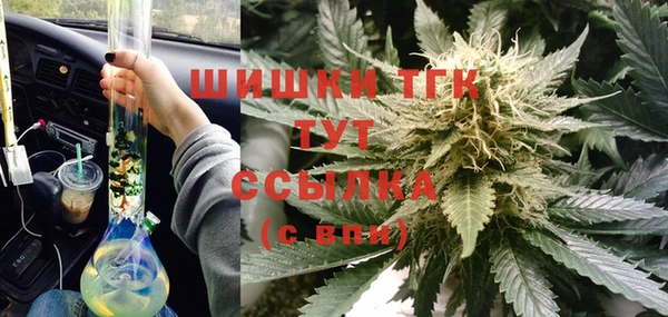 ПСИЛОЦИБИНОВЫЕ ГРИБЫ Верея