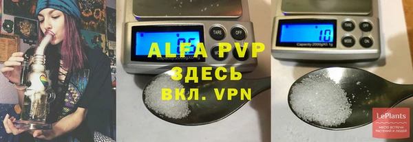 ПСИЛОЦИБИНОВЫЕ ГРИБЫ Верея