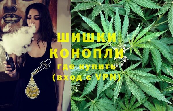 ПСИЛОЦИБИНОВЫЕ ГРИБЫ Верея