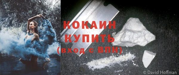 ПСИЛОЦИБИНОВЫЕ ГРИБЫ Верея
