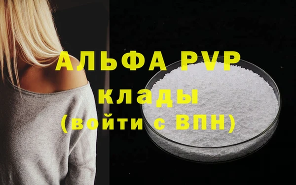 ПСИЛОЦИБИНОВЫЕ ГРИБЫ Верея