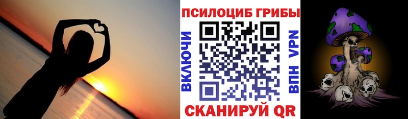 Купить  Гурьевск  Галлюциногенные грибы Cubensis 